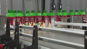 Eggnog production at Shamrock Farms kicks off