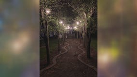 Jill of All Trades puts up landscape lighting