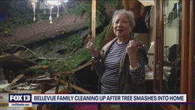 Bellevue woman recounts tree falling on home, roof collapse