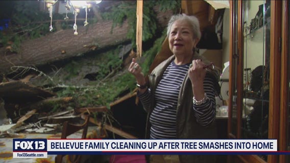 Bellevue woman recounts tree falling on home, roof collapse