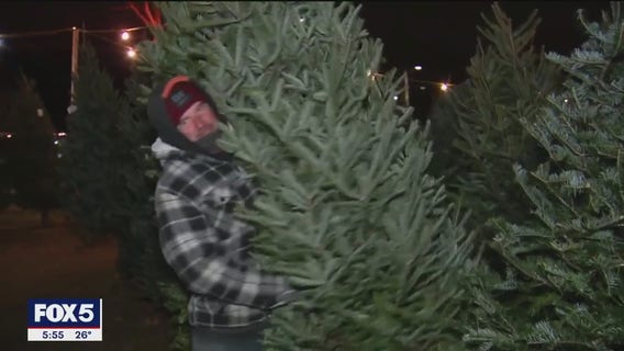 Real vs fake Christmas tree debate affected by tariffs