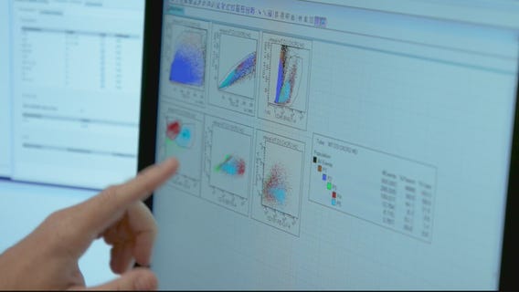 Discovered immune cell could help treat neurological conditions