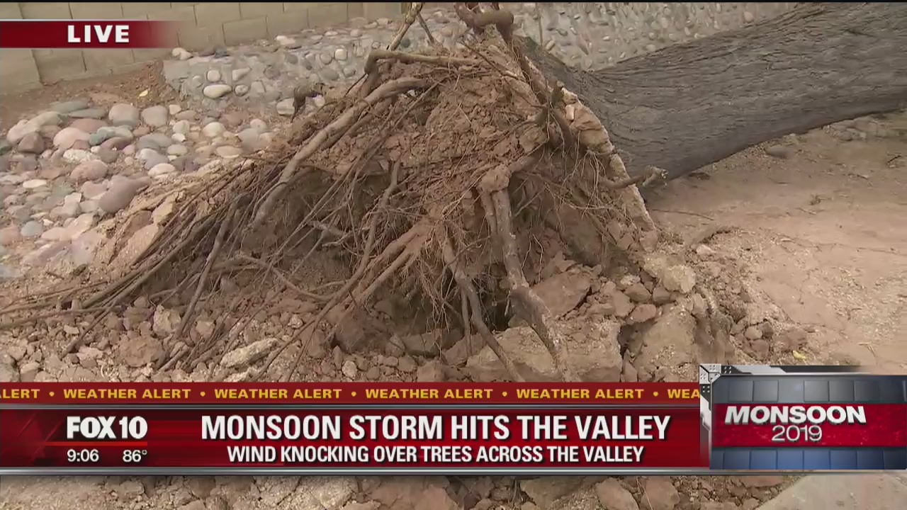 Monsoon leaves behind storm damage in East Valley | FOX 10 Phoenix