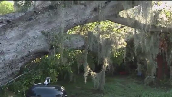 Damage, debris after storms in St. Cloud