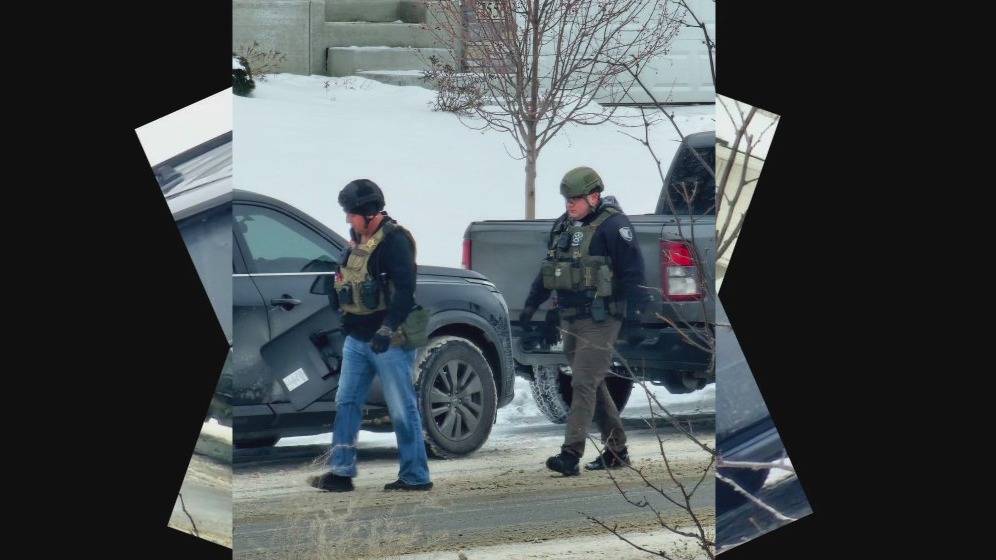 70% of those arrested by ICE in MN have no criminal convictions