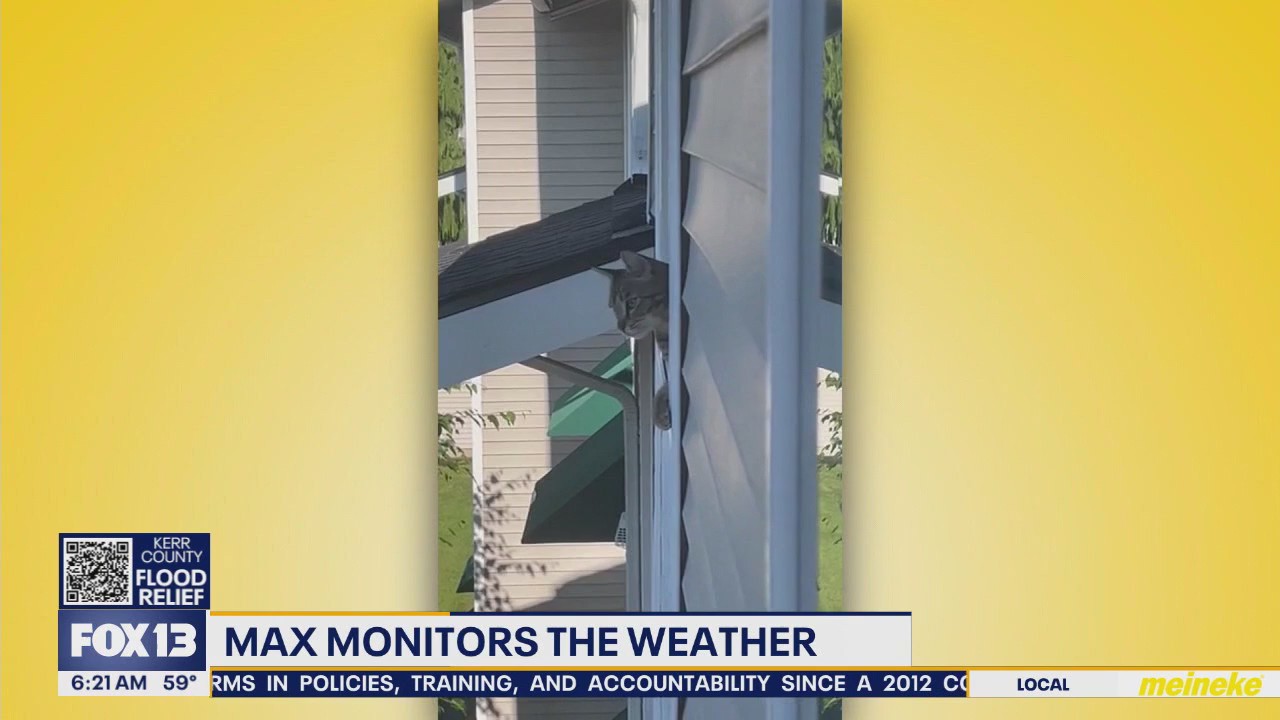 Pet Tricks for Wednesday, July 9