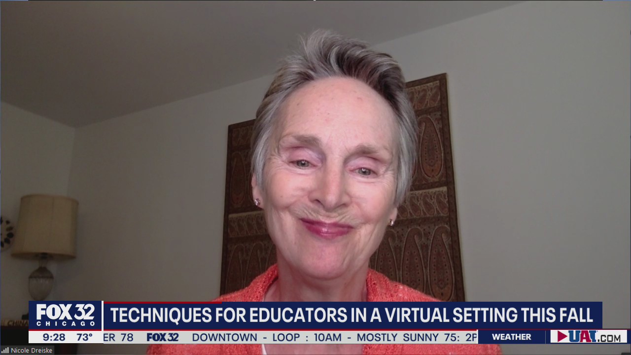 Techniques for educators in a virtual classroom setting
