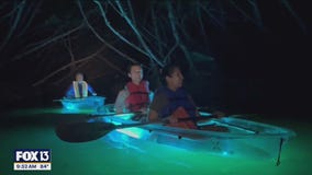 Glow in the dark kayaking at Shell Key