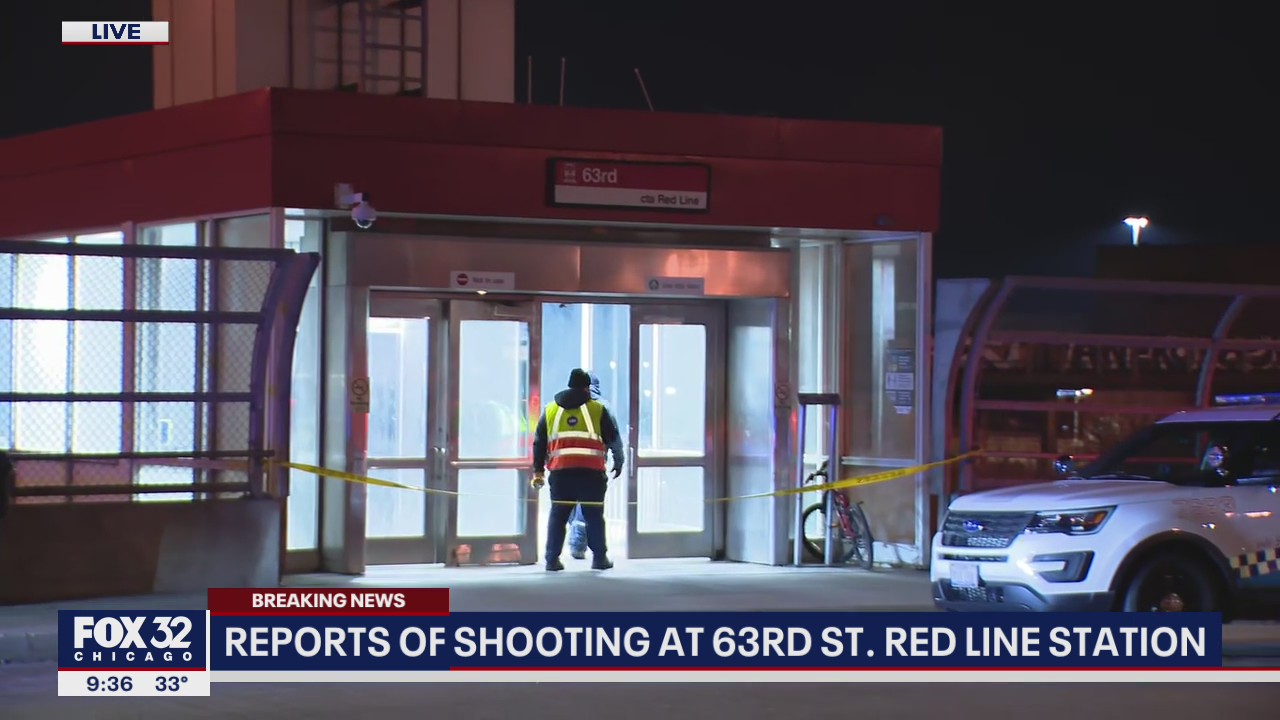 Man shot on CTA Red Line train on South Side: police | FOX 32 Chicago