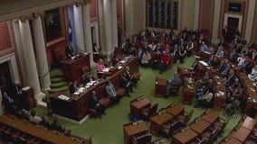 MN Supreme Court to hear arguments on House power