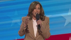 Kamala Harris makes surprise appearance at DNC