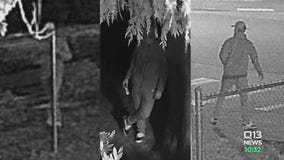 Suspect sought for vandalizing Black Lives Matter sign at Lacey elementary school