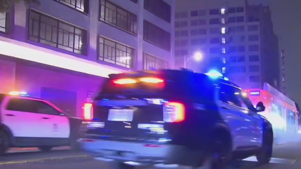 Deadly Metro bus hijacking victim identified