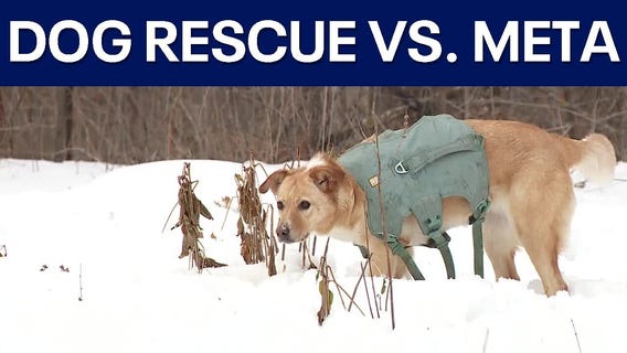 Animal rescue struggles after Meta removes page