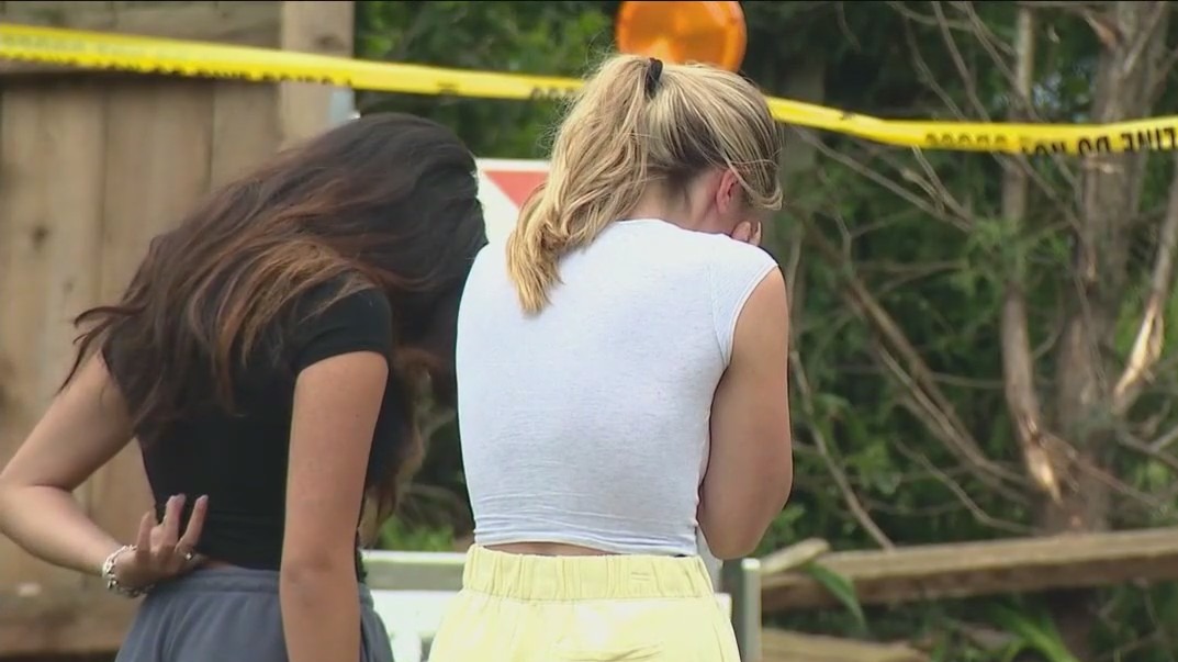 Friends, family remember Glenview teen killed in crash