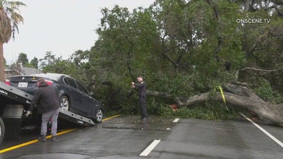 Latest LA storms knock down trees