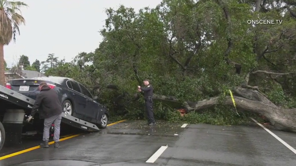 Latest LA storms knock down trees