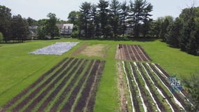 Farmer Jawn Agriculture bring healthy food to the people of Philadelphia