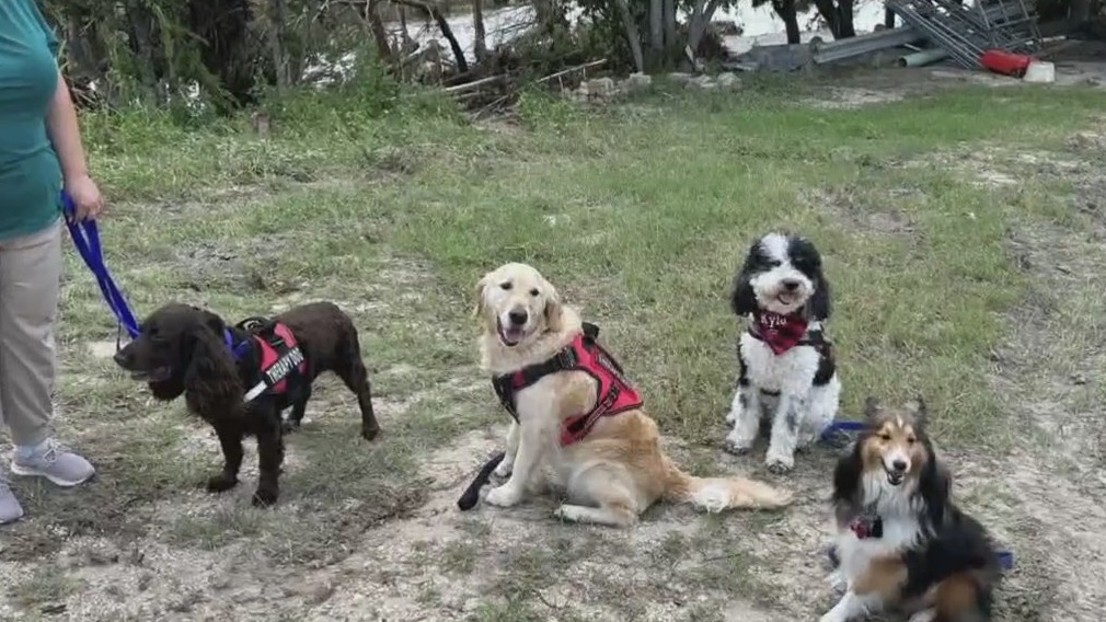 Comfort dogs deployed to Central Texas
