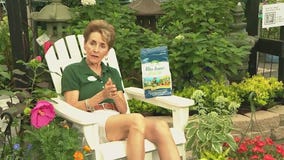 Garden basics for fall with Pike Nurseries