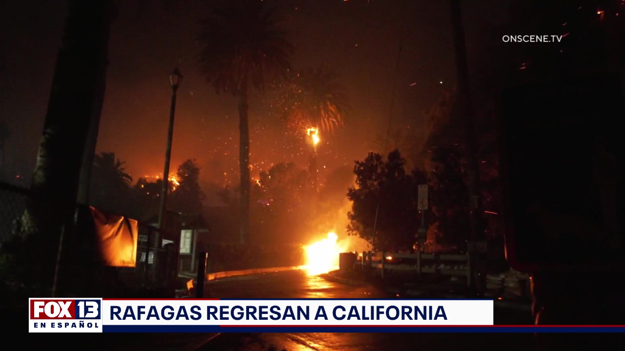 Últimas noticias con el noticiero FOX 13 Seattle: Martes, 14 de enero