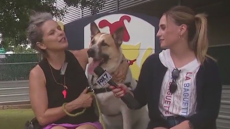 Pet of the Weekend: Stax