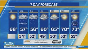 NYC weather forecast