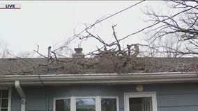Cleanup begins across Chicago area after powerful storms wreak havoc