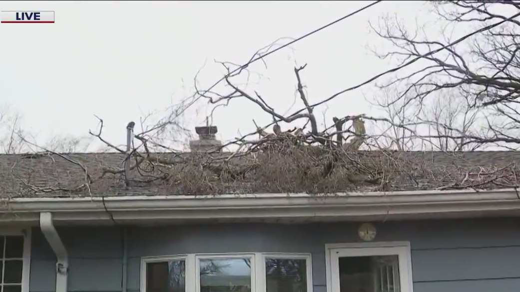 Cleanup begins across Chicago area after powerful storms wreak havoc