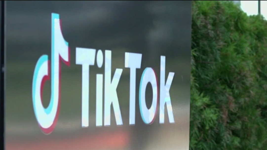 TikTok fights back against looming ban