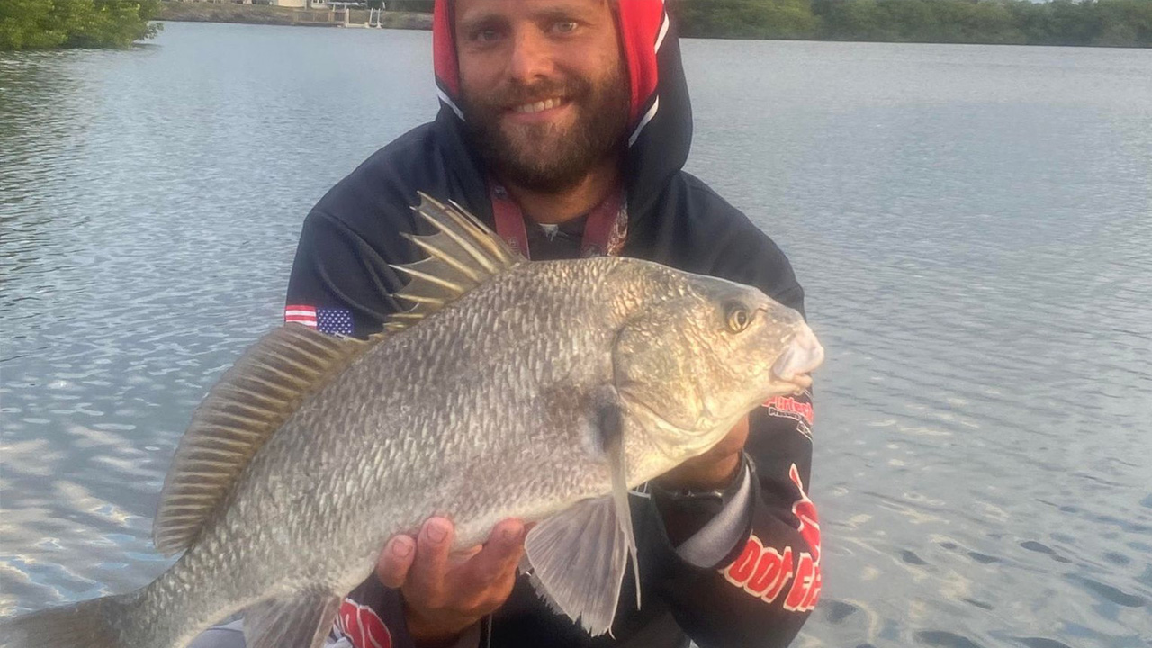 Black drum bite still active inshore