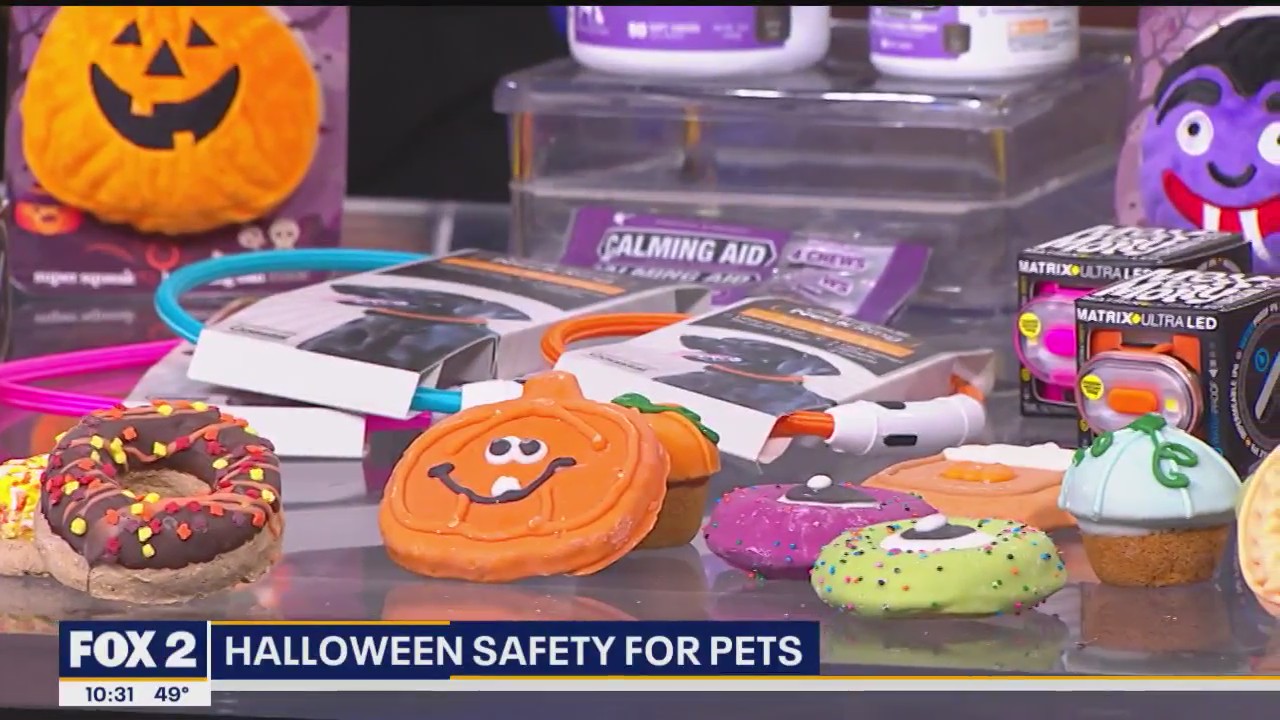 Halloween safety for pets