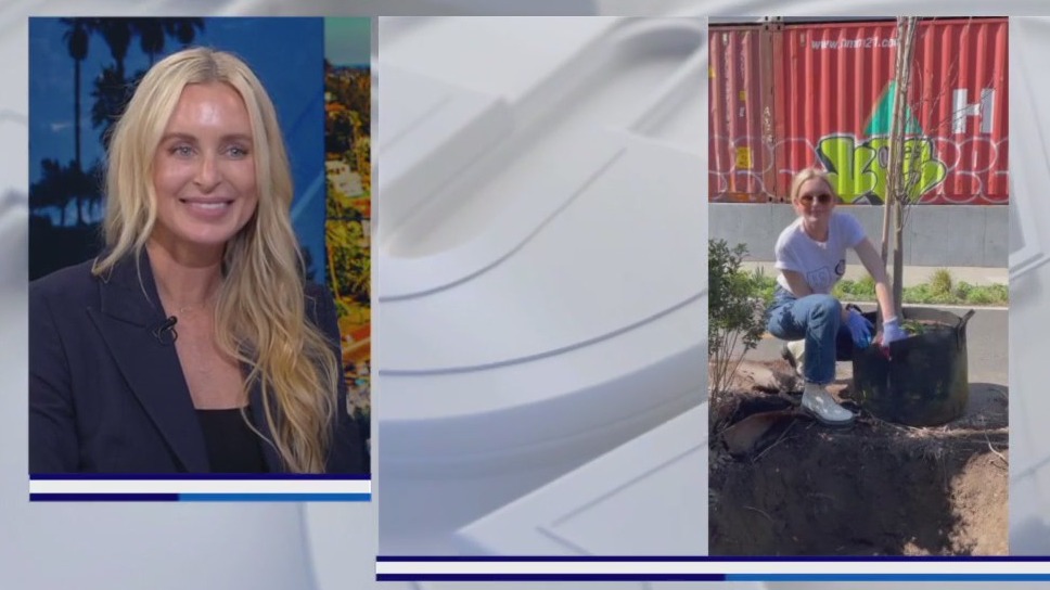 How to live an eco-friendly and sustainable lifestyle