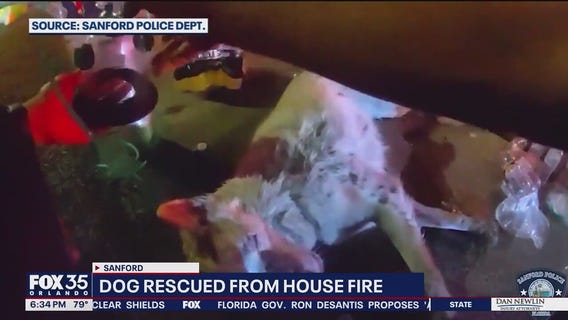 Officer rescues unconscious dog from burning Sanford home