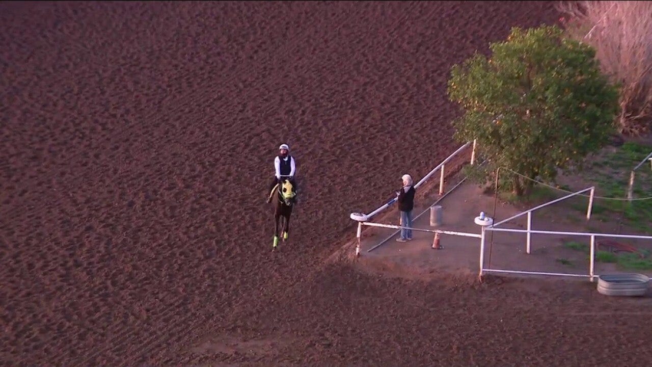 Turf Paradise in Phoenix under new management