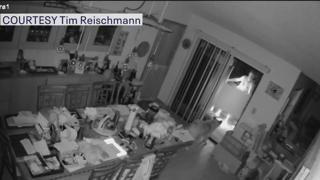 Naked man wielding axe arrested for burglary