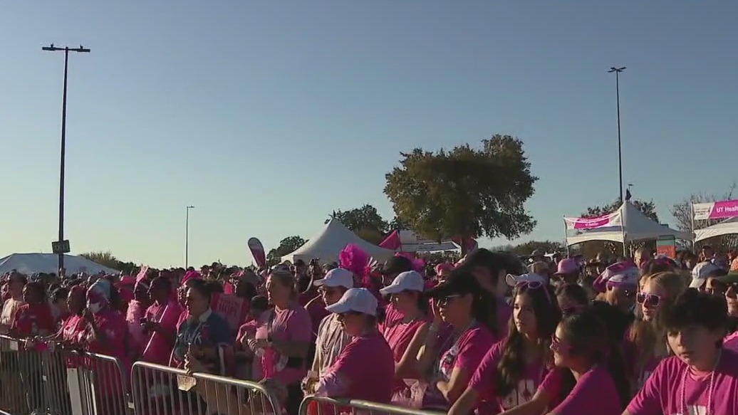 More Than Pink Walk 2024