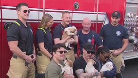 Firefighters host Lost Our Home Pet Rescue photo shoot