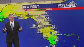 Tampa weather | Friday afternoon forecast