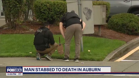 Auburn stabbing leads to homicide investigation