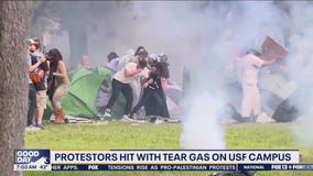 Protesters clash with police at college campuses across the nation