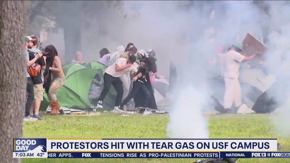 Protesters clash with police at college campuses across the nation