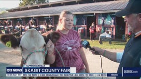 Skagit County Fair returns