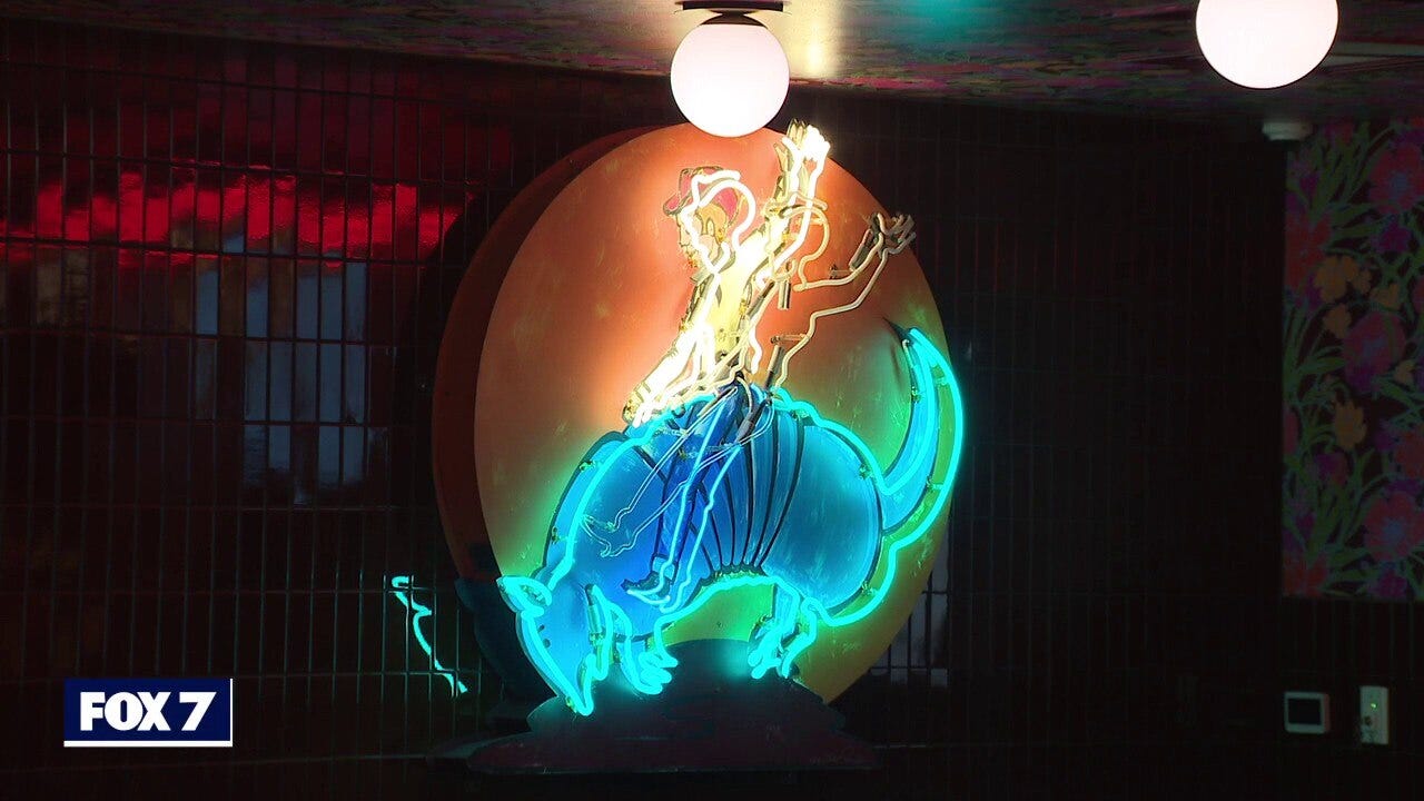 Neon Armadillo in Wimberley: Tierra's Texas
