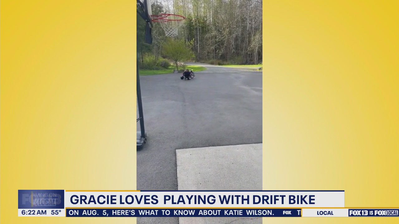 Pet Tricks for Thursday, July 24