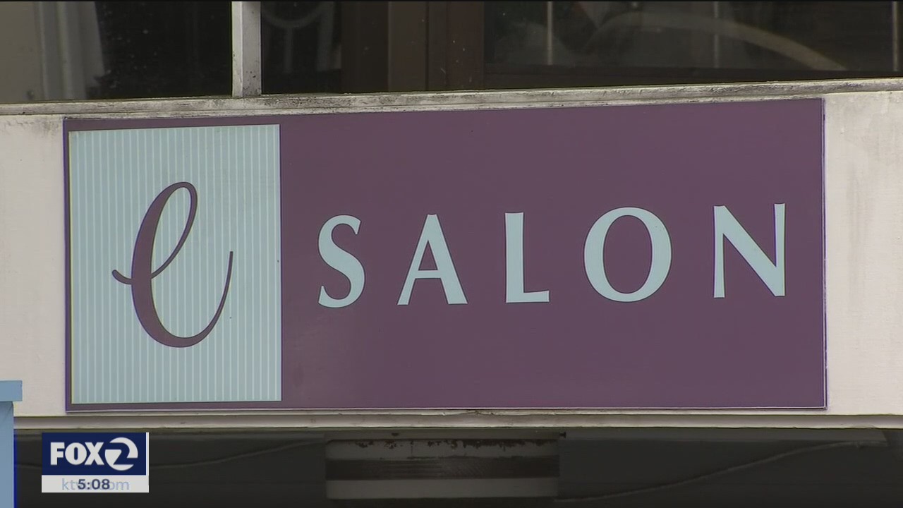 New developments in the Pelosi salon controversy