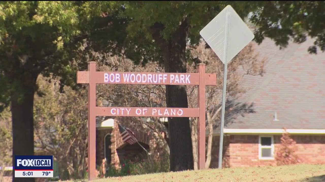 Teen accused of attacking woman with hammer in Plano