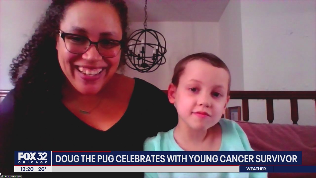'Doug the Pug' celebrates a young cancer survivor in new song of hope