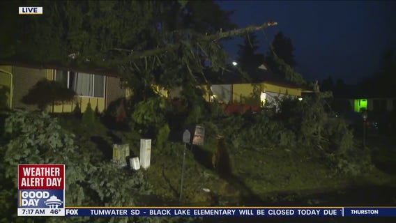 Trees falling, power outages caused by strong winds in Western WA