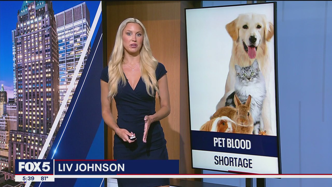 Nationwide pet blood shortage